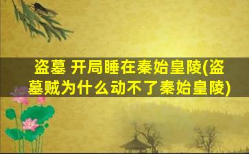 盗墓 开局睡在秦始皇陵(盗墓贼为什么动不了秦始皇陵)